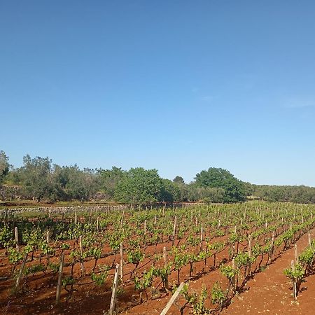 Masseria Le Betulle San Vito dei Normanni Εξωτερικό φωτογραφία